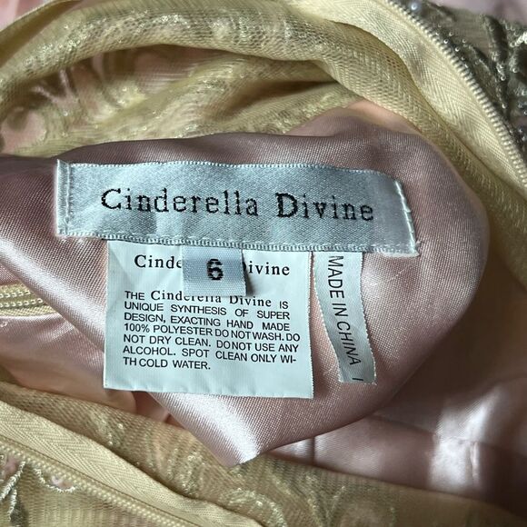 Cinderella Devine Pink Blush Short Embellished A line Chiffon Dress Sz 6 - Picture 6 of 7